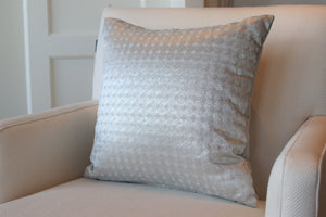 Silver Coins 20" Square