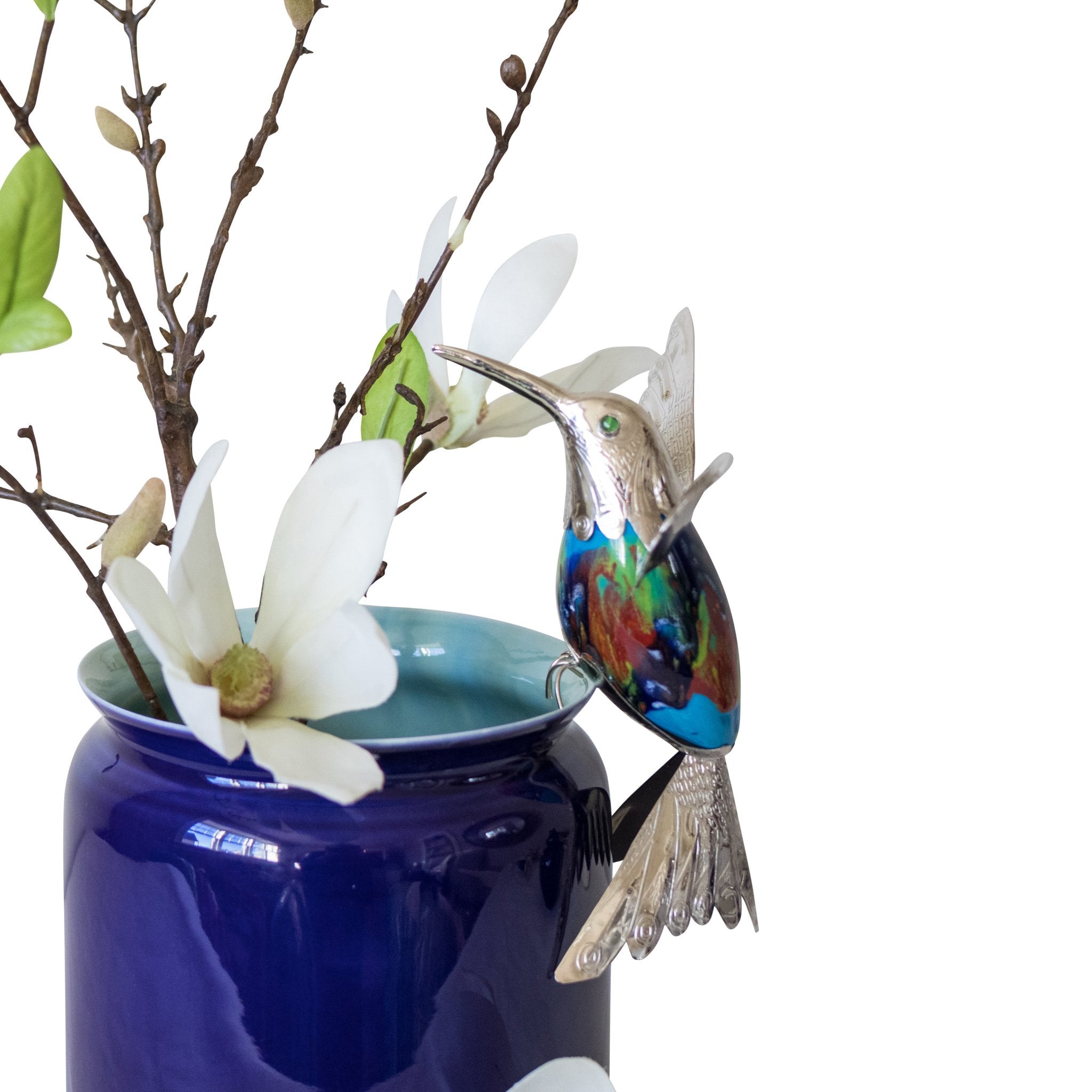 Shady Cove Hummingbird, Large